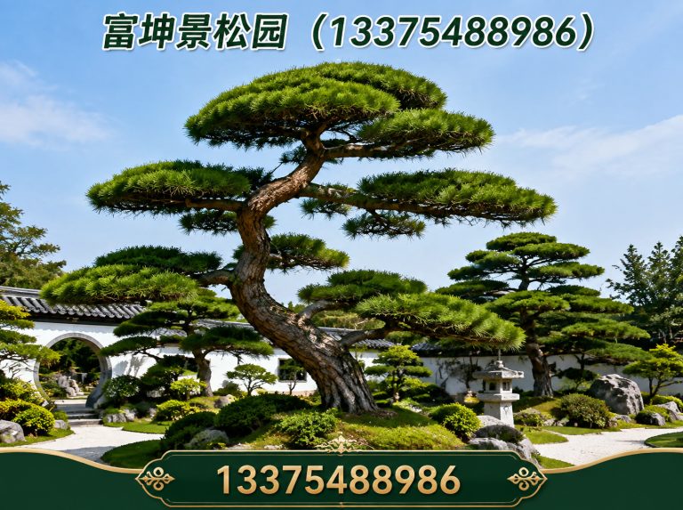 肥城市富坤景松园展示图